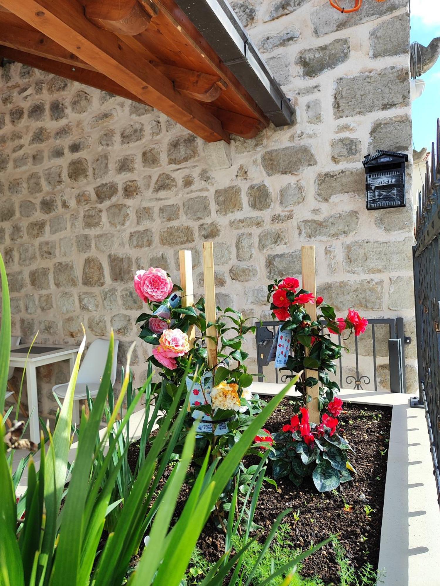 Apartments Harriete Dubrovnik Exterior photo